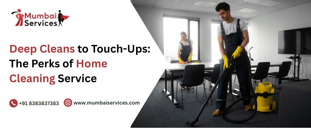 professional home cleaning services